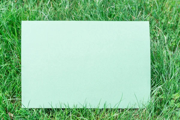 Green paper blank on the green grass. Green grass as a frame.
