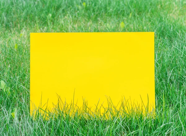 Papel amarelo em branco na grama verde. Grama verde como um quadro . — Fotografia de Stock