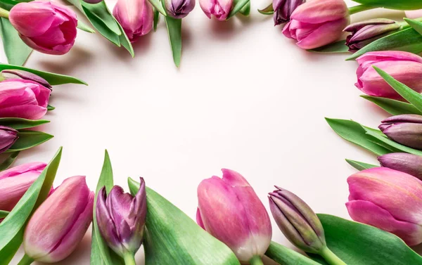 Delicate pink tulips on lightpink background. — Stock Photo, Image