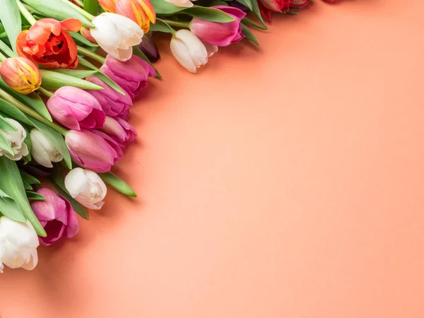 Цветной букет тюльпанов на оранжевом фоне . — стоковое фото