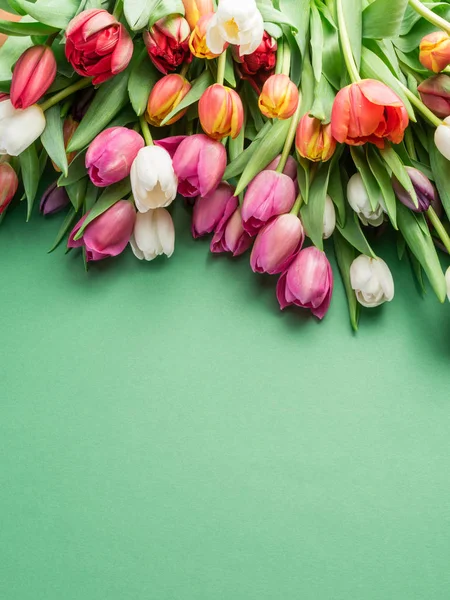 Bouquet di tulipano colorato su sfondo verde . — Foto Stock