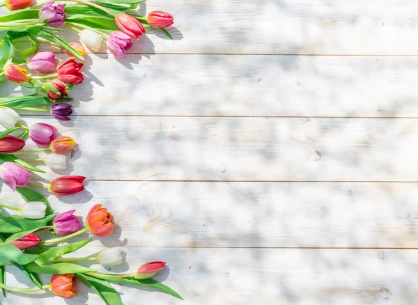 Tulipes colorées sur table en bois blanc aux rayons du soleil du printemps . — Photo