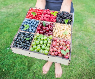 Ahşap kutu eller meyveleri ile. Üstten görünüm.