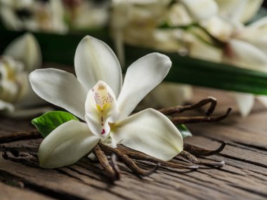 Dried vanilla sticks and vanilla orchid on wooden table. clipart