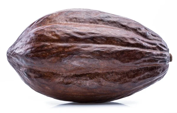 Beyaz bir arka plan üzerinde izole kahverengi kakao pod. 