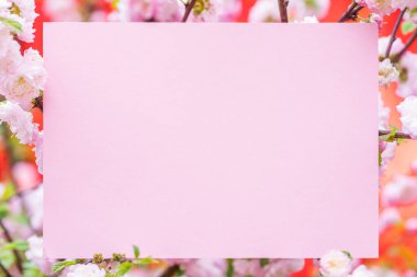 Kağıt çiçek çiçeklenme badem şubeleri arasında boş. Pembe f