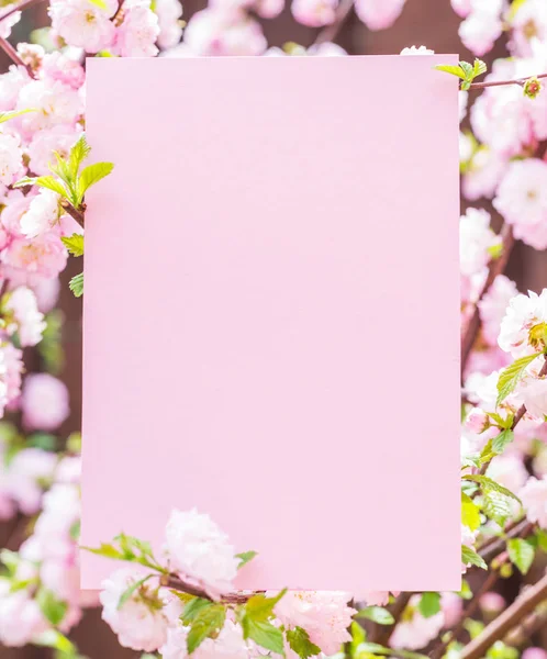 Kağıt çiçek çiçeklenme badem şubeleri arasında boş. Pembe f