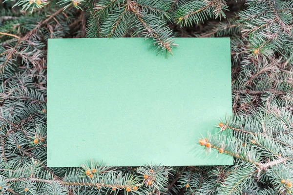 Зелений папір заготовлений між гілками ялинки, розташованими як рамка . — стокове фото