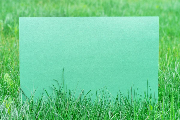 绿纸空白在绿草上。绿草作为框架. — 图库照片