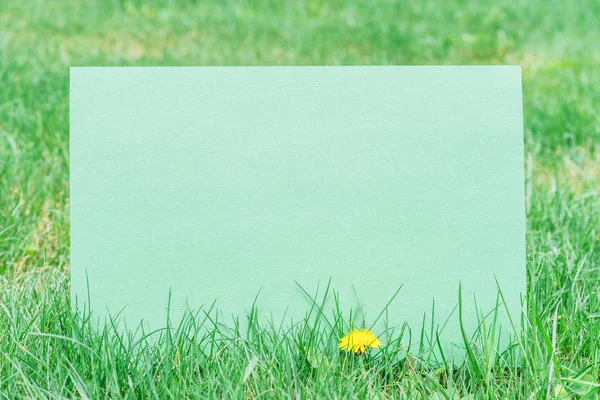 緑の紙は緑の草に空白。緑のフレームとして草. — ストック写真