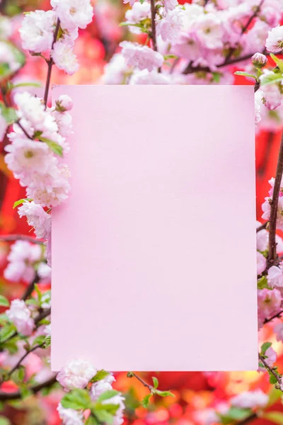 Kağıt çiçek çiçeklenme badem şubeleri arasında boş. Pembe f