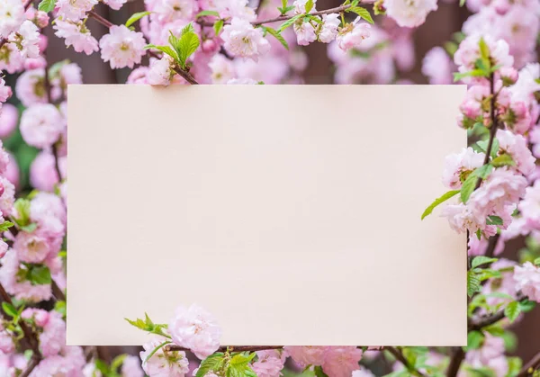 Papier blank zwischen blühenden Mandelzweigen in Blüte. rosa f — Stockfoto