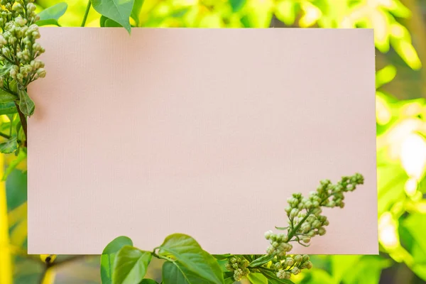 Papier leer zwischen grünen Pflanzen. Hintergrund Natur. — Stockfoto