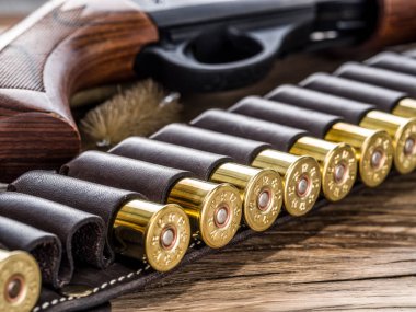 Pompa eylem av tüfeği, 12 kalibre kartuş ve Barut çubuğu.