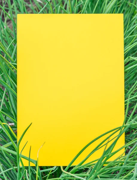 Żółty papier na puste na zielonej trawie. Zielona trawa jako ramka. — Zdjęcie stockowe