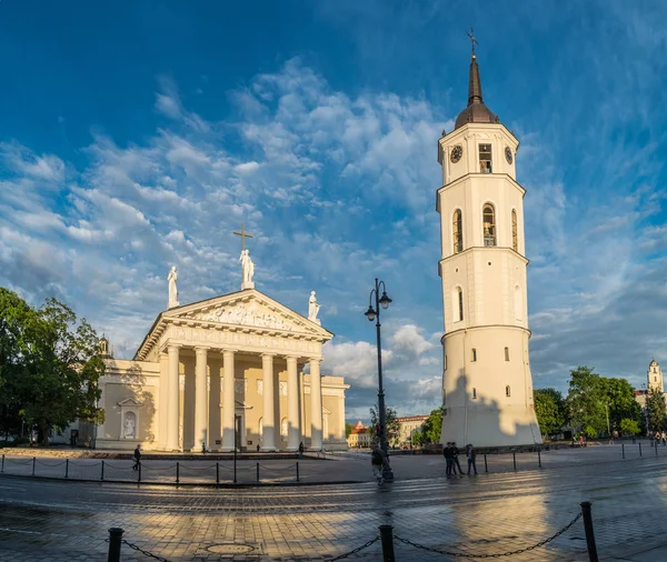 Vilnius 'ta Katedral Meydanı ve çan kulesi. Litvanya. 2016.