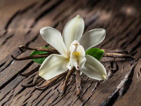 Palitos de baunilha secos e orquídea de baunilha na mesa de madeira . — Fotografia de Stock