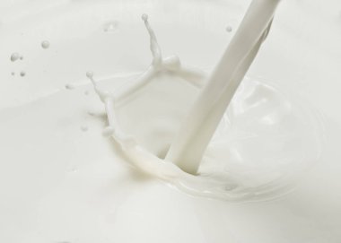 Süt ve süt splash dökme. Yakın çekim.