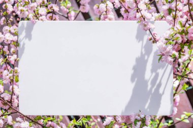 Kağıt çiçek çiçeklenme badem şubeleri arasında boş. Pembe f