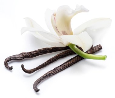 Vanilya çubukları ve üzerinde beyaz izole orkide vanilya çiçek kurutulmuş