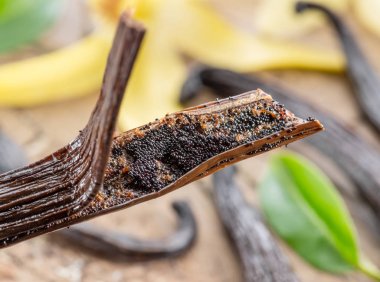 Vanilya meyve ve ahşap masa üzerinde orkide vanilya kurutulmuş.