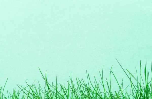Libro verde en blanco sobre la hierba verde. Hierba verde como marco . —  Fotos de Stock