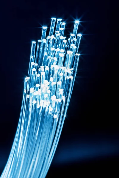 Bündel optischer Fasern mit Lichtern an den Enden. blauer Hintergrund — Stockfoto