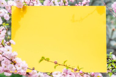 Kağıt çiçek çiçeklenme badem şubeleri arasında boş. Pembe f