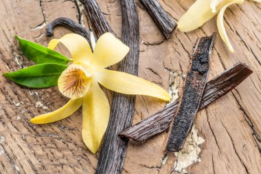 Dried vanilla fruits and vanilla orchid on wooden table. clipart