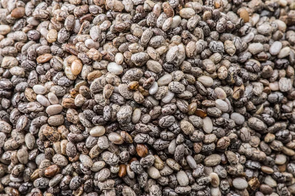 Muitas sementes de Chia. Fundo alimentar . — Fotografia de Stock