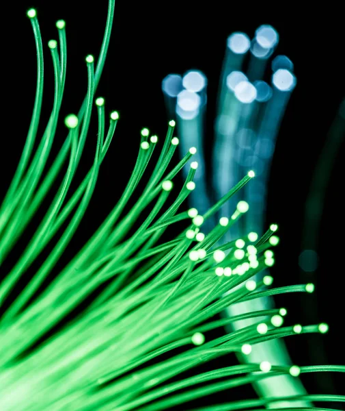 Bundle of optical fibers with green light. Black background.