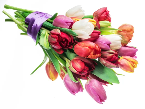 Colorful bouquet of tulips on white background. — Stock Photo, Image