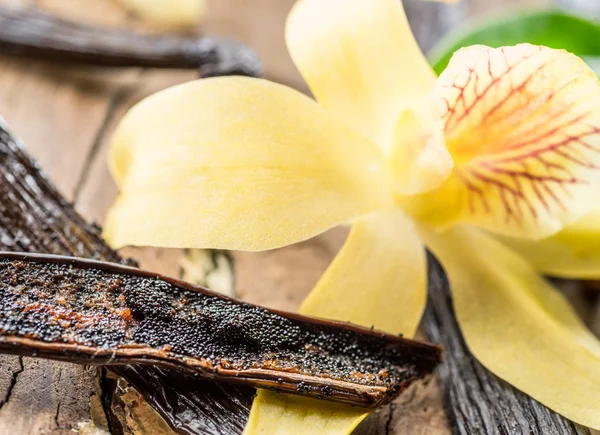 Getrocknete Vanillefrüchte und Vanille-Orchidee auf Holztisch. — Stockfoto