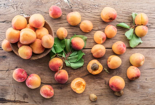 Спелые абрикосы на фруктовом дереве в саду . — стоковое фото