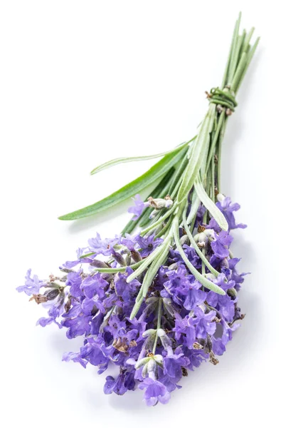 Bando de flores de lavandula ou lavanda isoladas em backgro branco — Fotografia de Stock