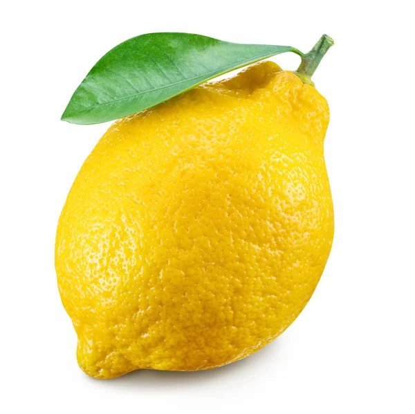 Frutto maturo al limone con foglia di limone su fondo bianco. Ritaglio p — Foto Stock