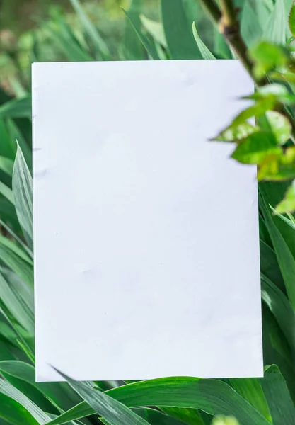 Papel em branco na relva verde. Grama verde como um quadro . — Fotografia de Stock