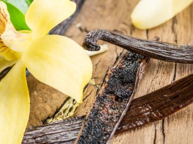 Vanilya meyve ve ahşap masa üzerinde orkide vanilya kurutulmuş.