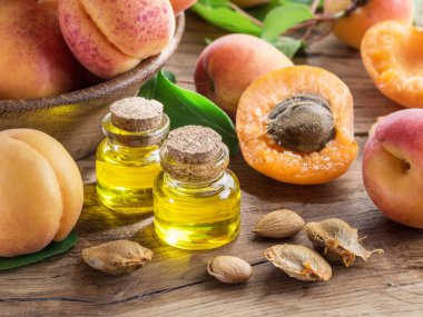 Ahşap arka planda kayısı çekirdeği yağı ve kayısı çekirdekleri.