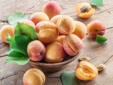 Bahçede meyve bahçesi ağacında olgun kayısı.