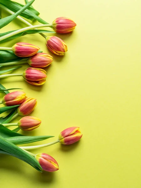 Delikat färska tulpaner på gul bakgrund. — Stockfoto