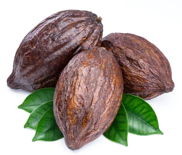 Vainas de cacao con hojas de cacao aisladas sobre un fondo blanco . — Foto de Stock