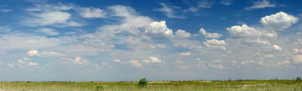 Panoramablick auf das Frühlingsfeld und den bewölkten Himmel. schöne Natur — Stockfoto