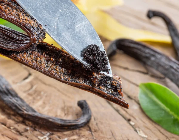 Frutos secos de baunilha e orquídea de baunilha na mesa de madeira . — Fotografia de Stock