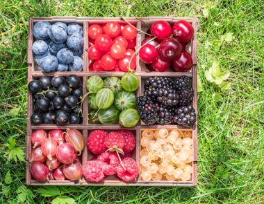 Yeşil çimlerin üzerinde tahta kutuda yaz meyveleri. Üst görünüm.