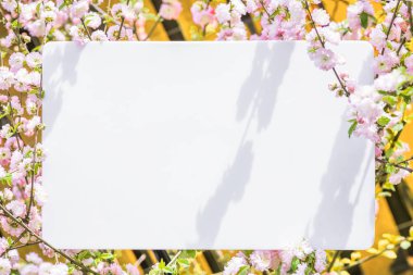 Kağıt çiçek çiçeklenme badem şubeleri arasında boş. Pembe f