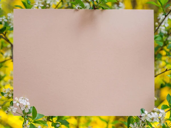 Papel en blanco entre ramas de cerezo en flor . —  Fotos de Stock