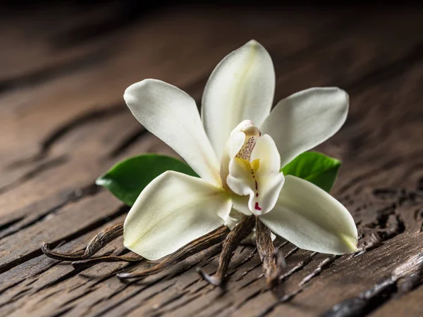 Palitos de baunilha secos e orquídea de baunilha na mesa de madeira . — Fotografia de Stock