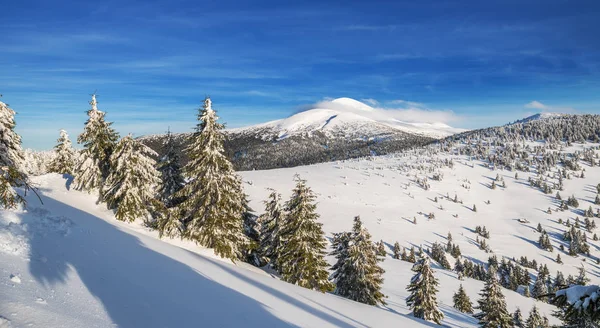 Monte Goverla, Ucrania. Hermoso paisaje de invierno. Tops de moun —  Fotos de Stock
