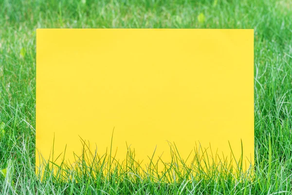 Geel papier leeg op het groene gras. Groen gras als een frame. — Stockfoto